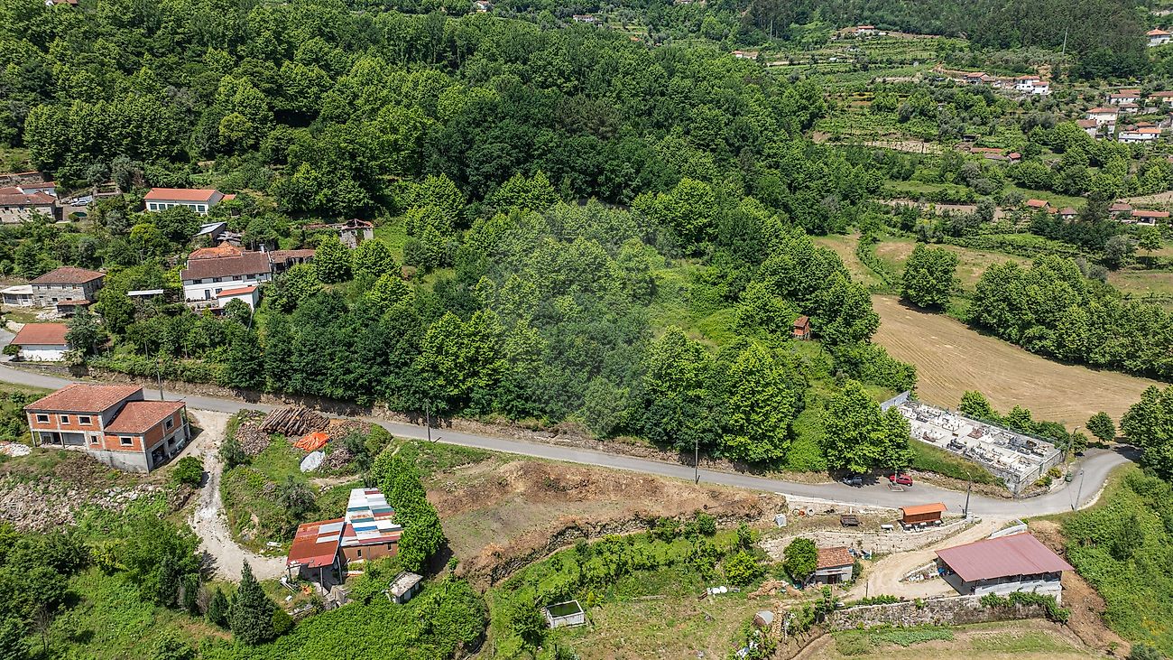 Terreno - Carvalho e Basto (Santa Tecla), Celorico de Basto, Braga