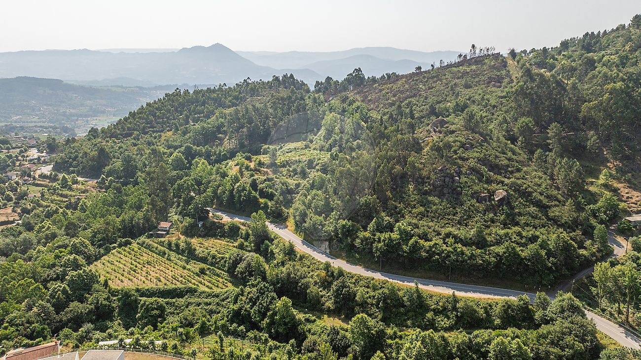 Quinta - Vale de Bouro, Celorico de Basto, Braga