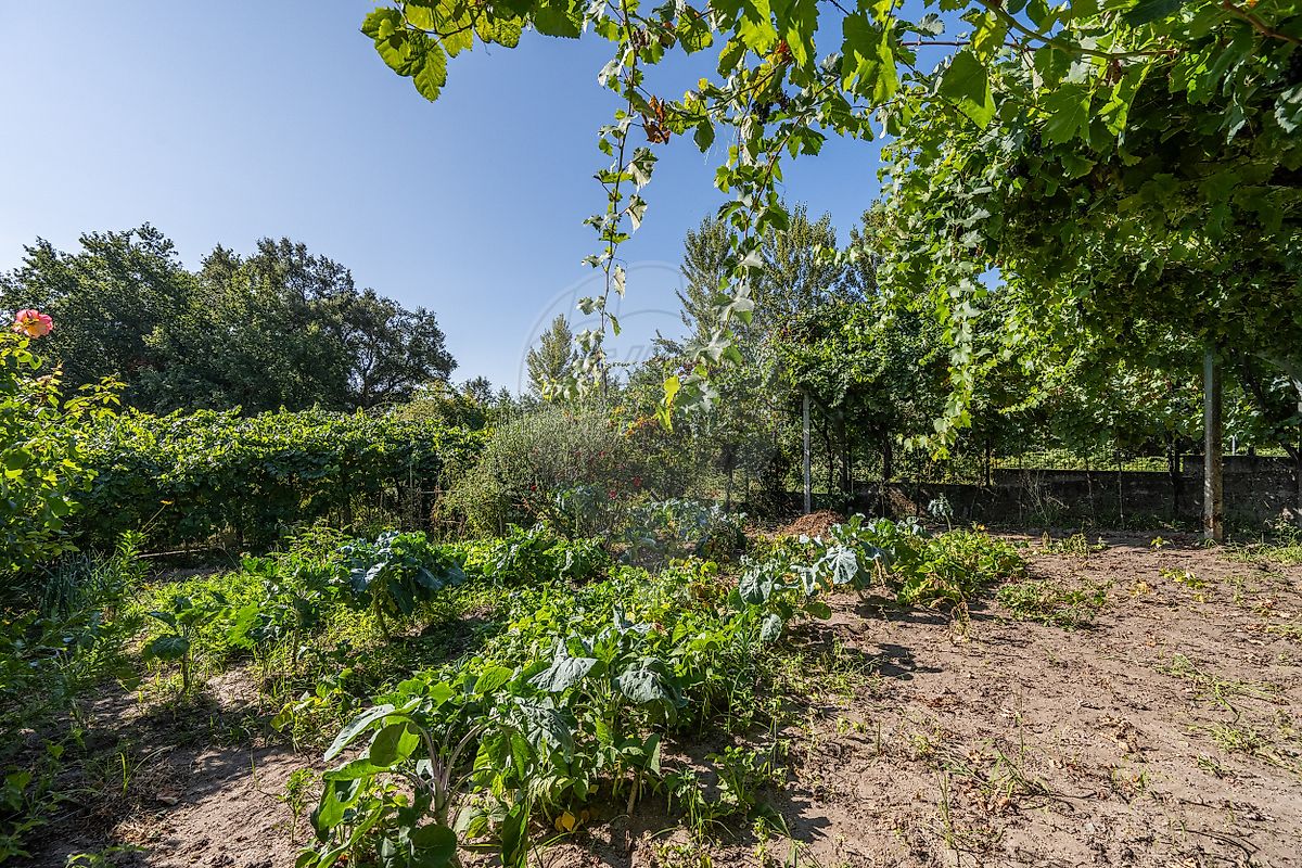 Moradia T3 à venda em Britelo, Gémeos e Ourilhe, Celorico de Basto — foto 27