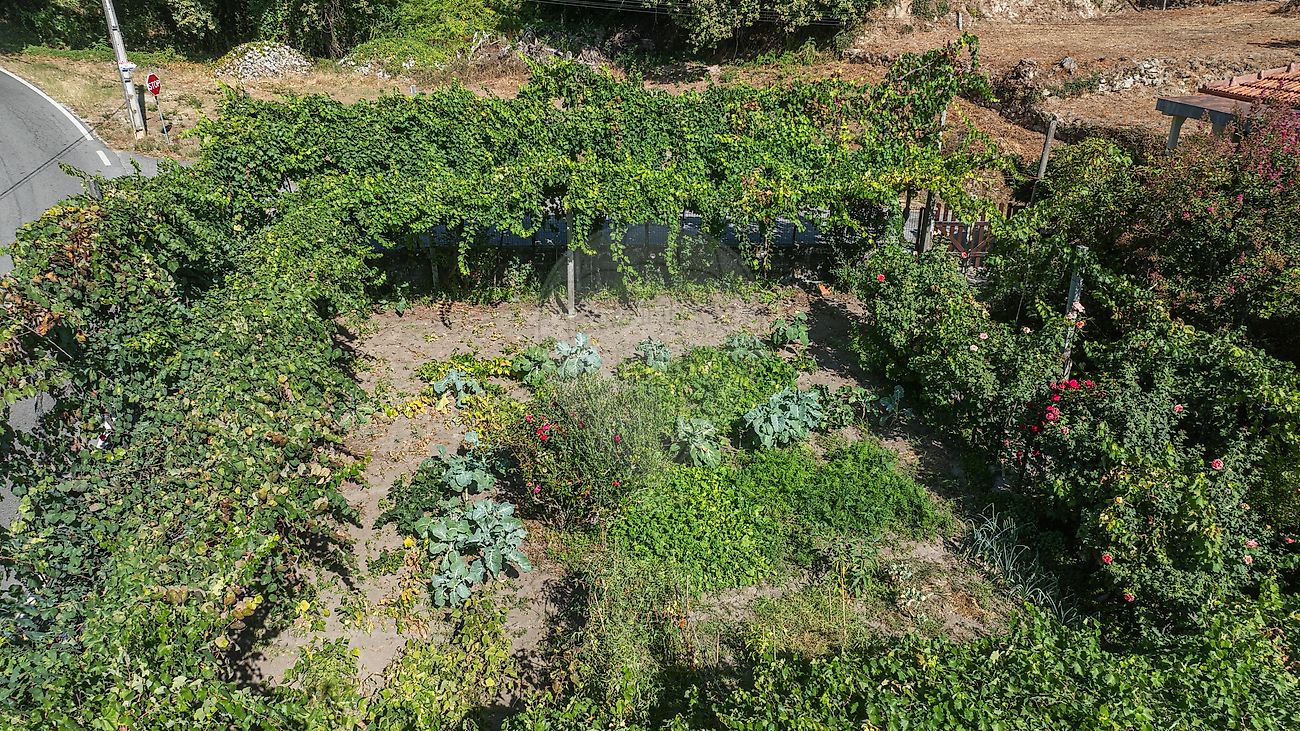 Moradia T3 à venda em Britelo, Gémeos e Ourilhe, Celorico de Basto — foto 28