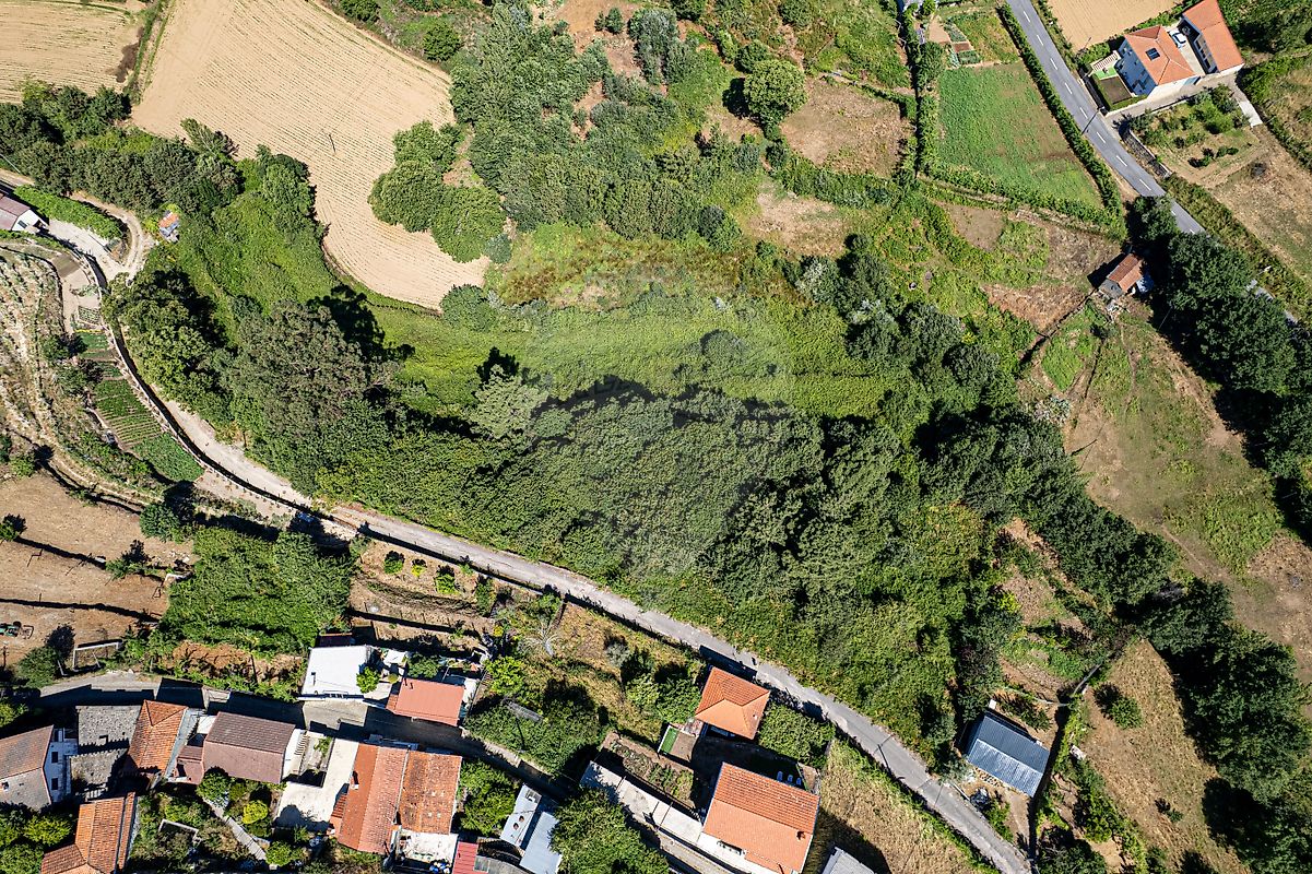 Quinta - Alvarenga, Arouca, Aveiro