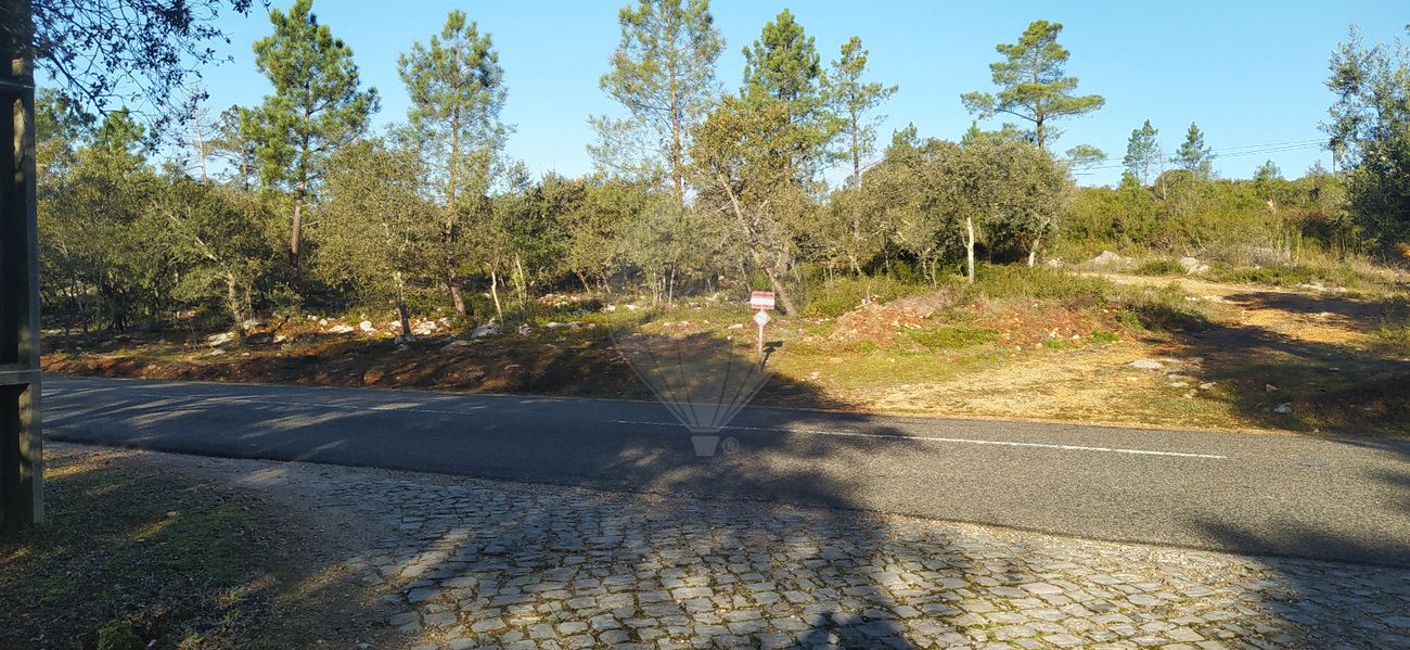 Terreno  para venda