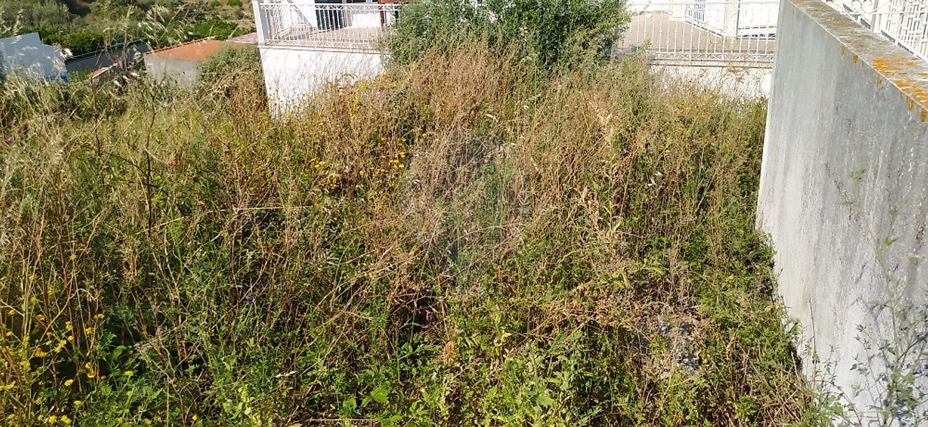 Terreno à venda em Torres Novas