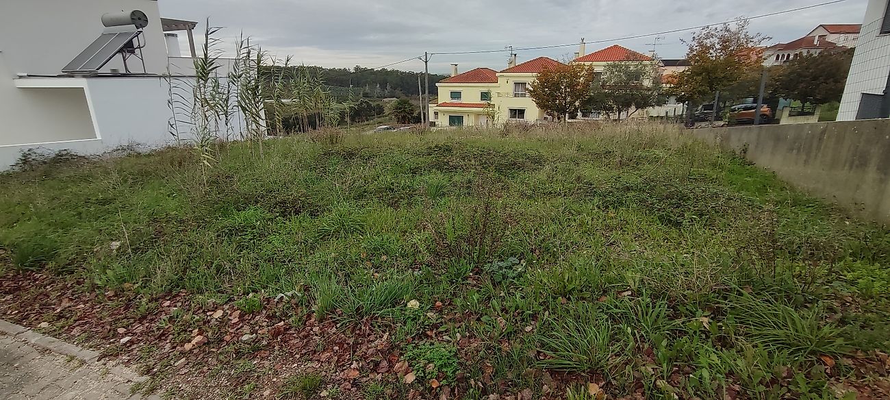 Land for sale in Leiria, Portugal — €70,000