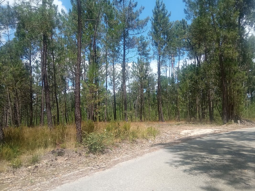 Apartamento à venda em Ourém
