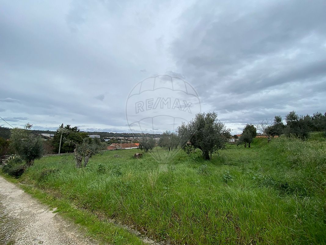 Land for sale in Ourém, Portugal — €82,500