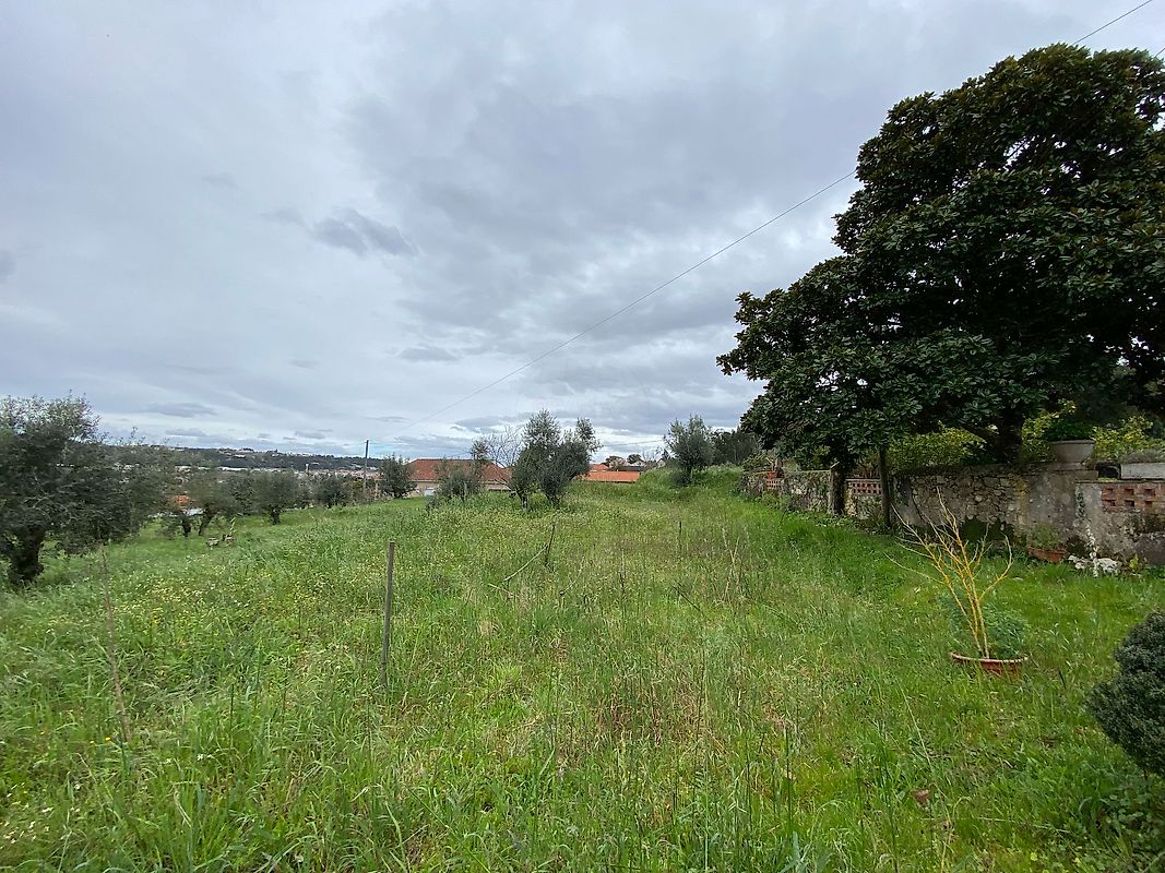 Land for sale in Ourém, Portugal — €82,500
