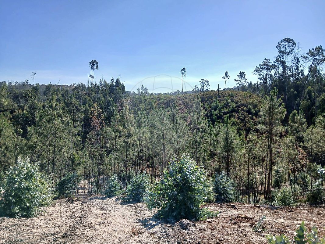 Terreno para venda
