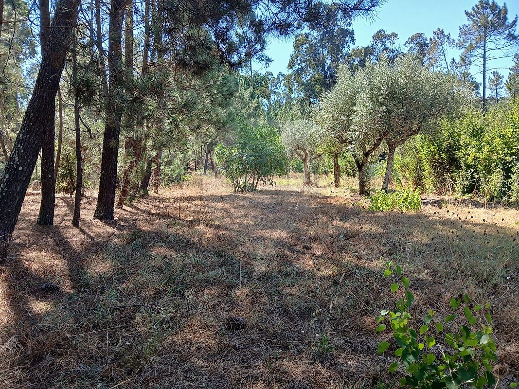 Terreno para venda