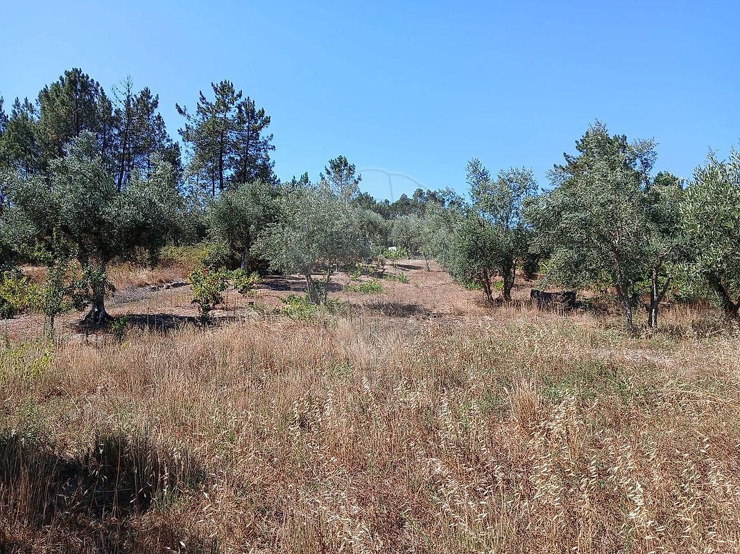 Terreno para venda