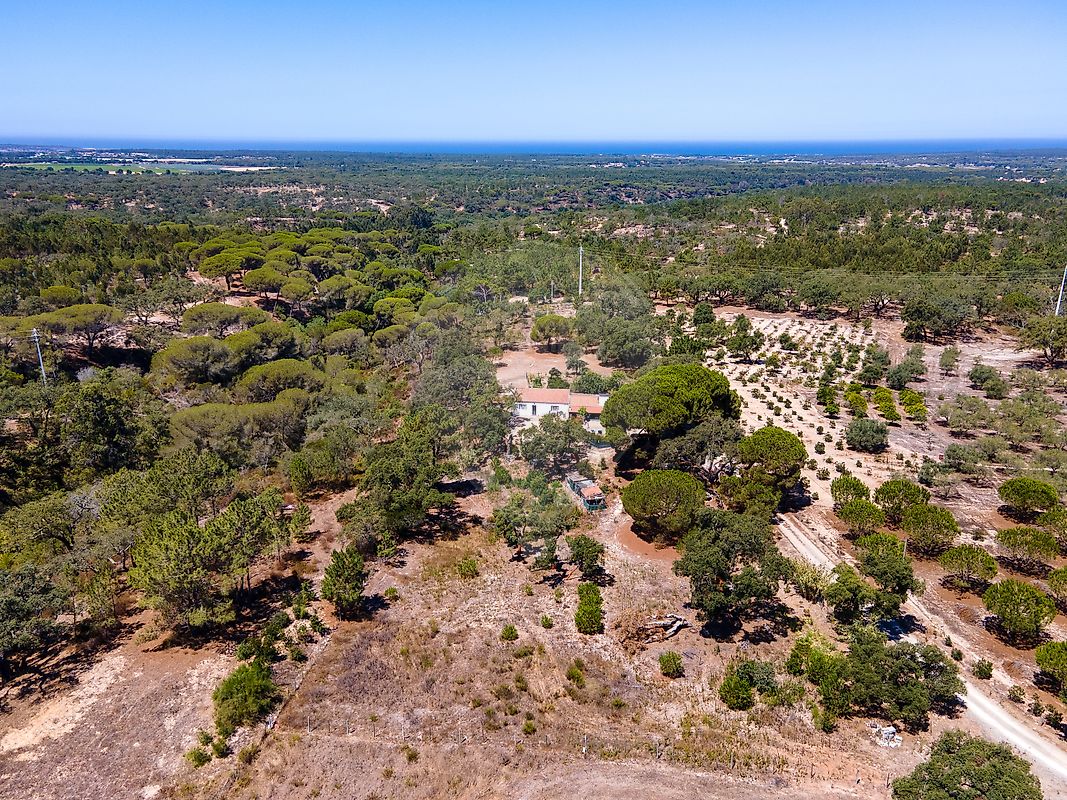 Terreno à venda em Grândola