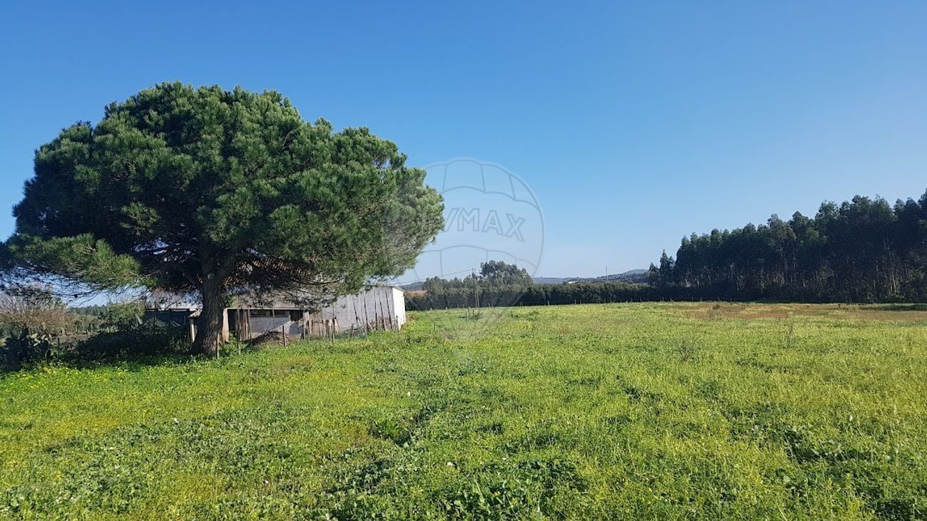 listing-picture-0