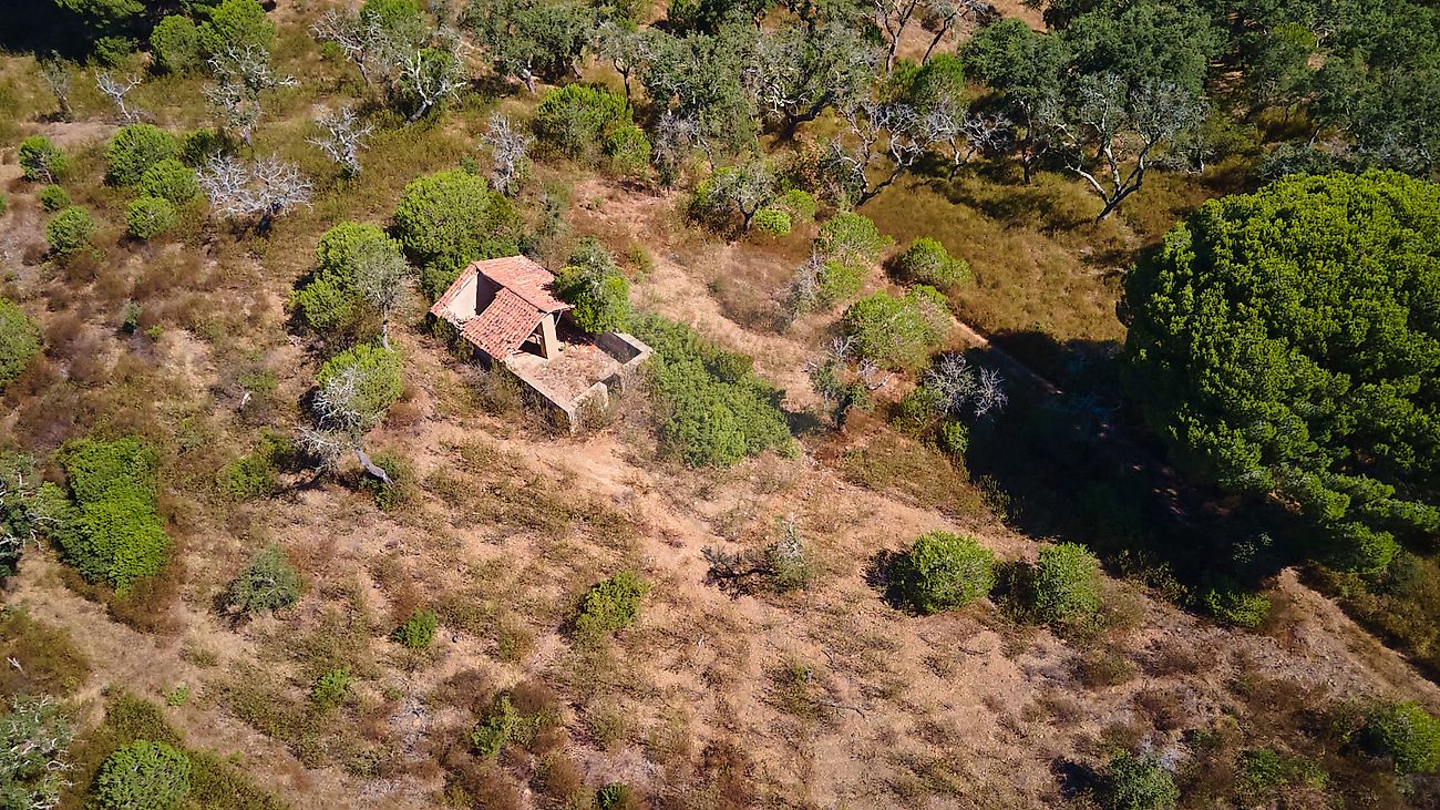 Terreno à venda em Grândola