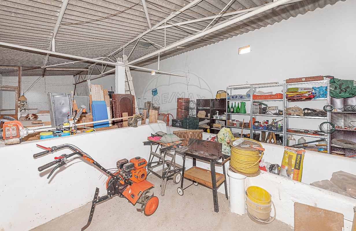 listing-picture-0