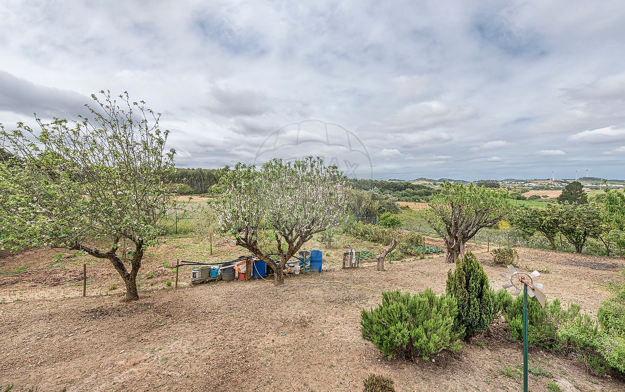 listing-picture-0