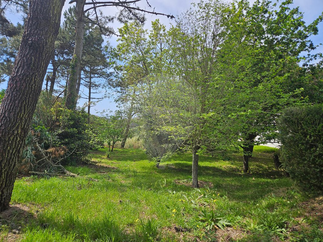 listing-picture-0