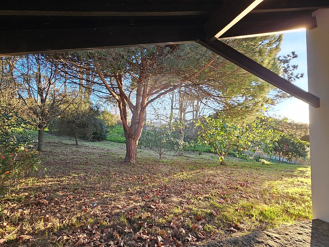 listing-picture-0