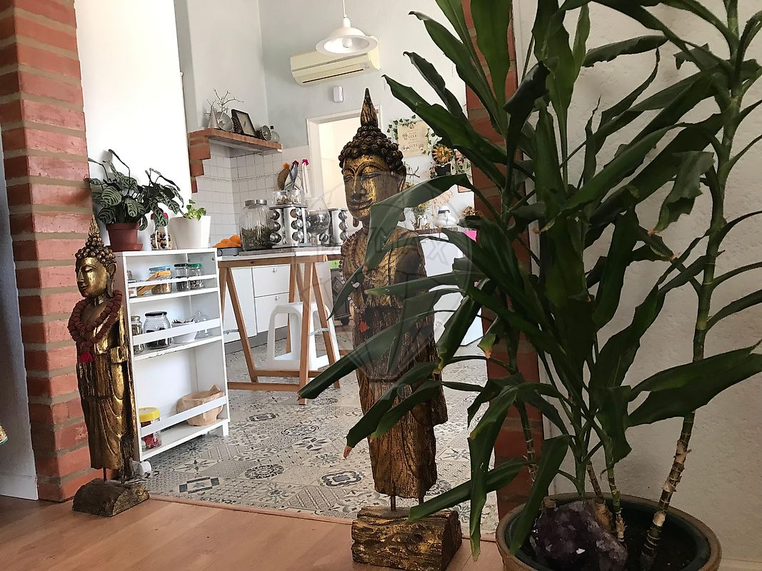 listing 126261121-9 picture-0