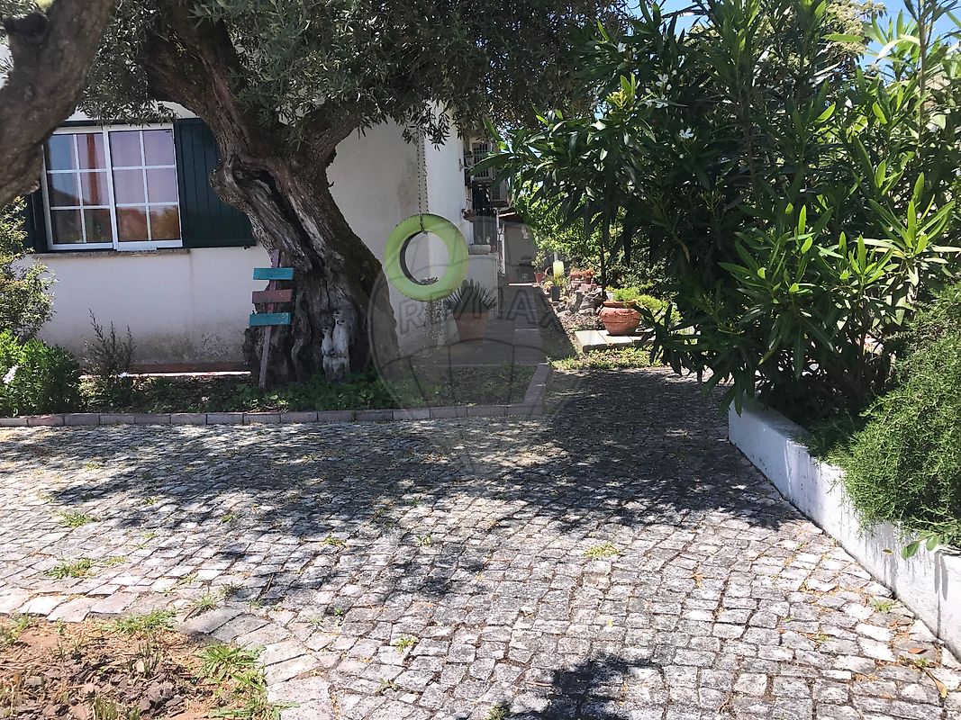 listing 126261121-9 picture-0
