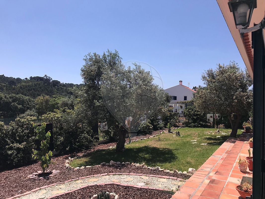 listing 126261121-9 picture-0