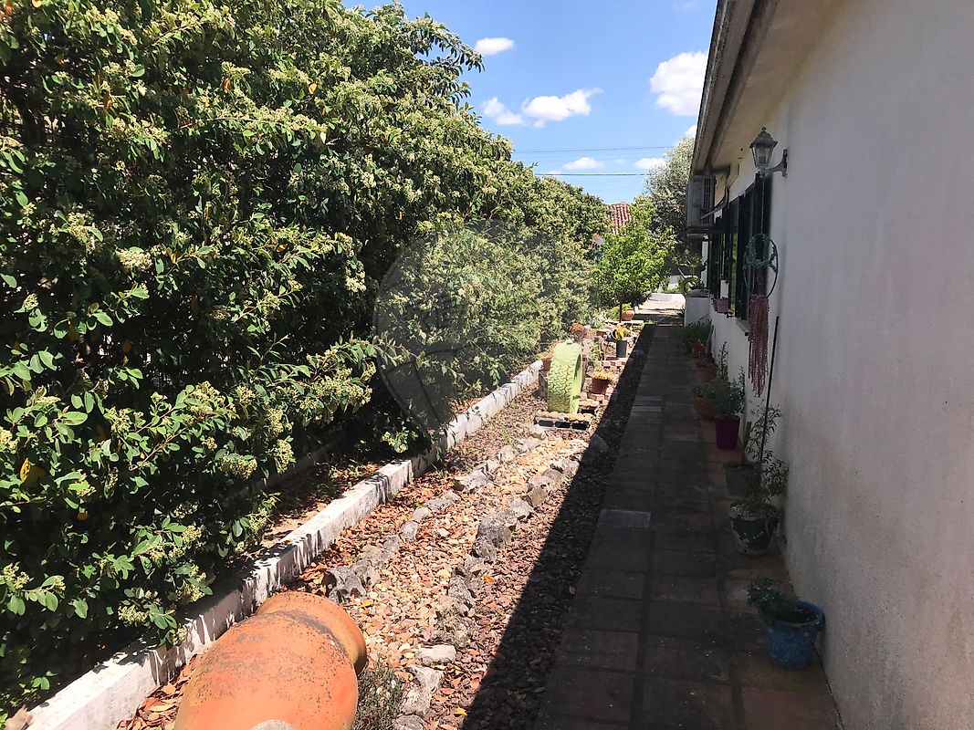 listing 126261121-9 picture-0