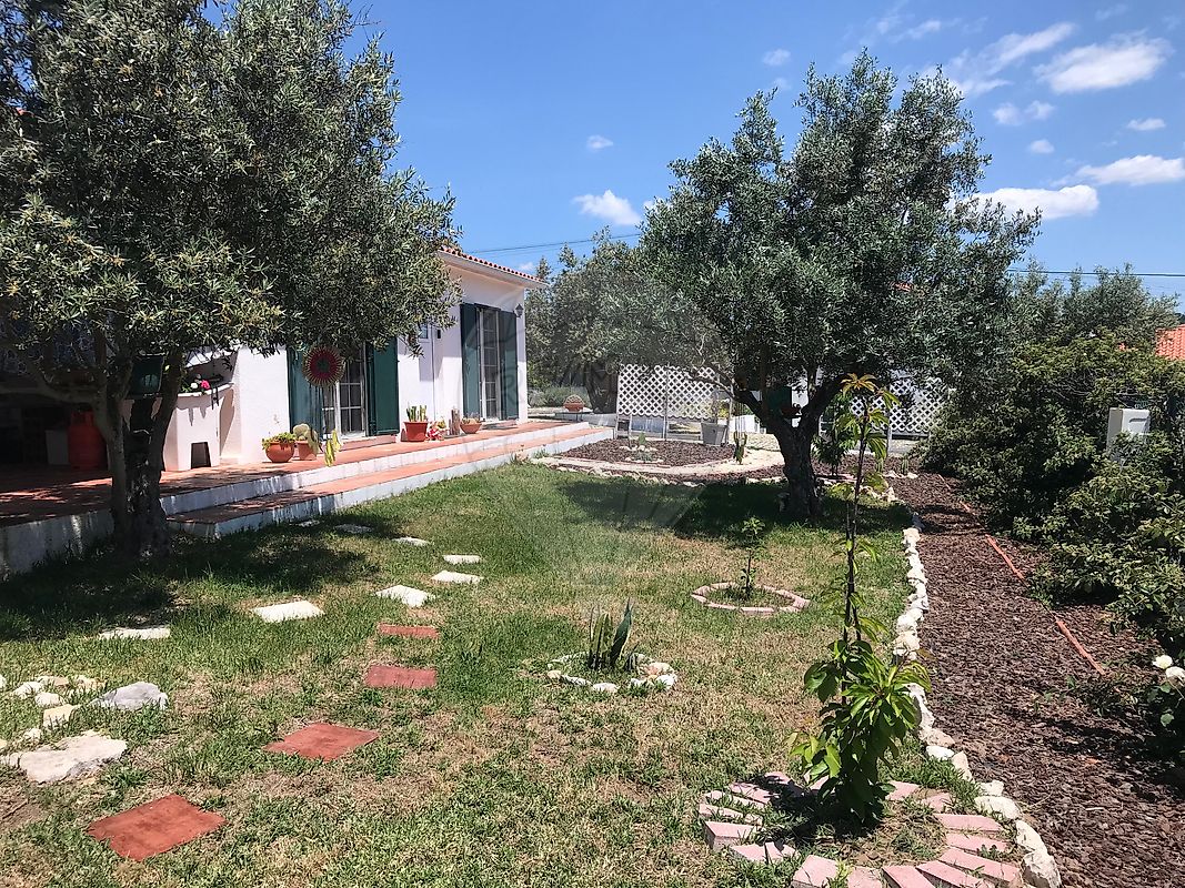 listing 126261121-9 picture-0