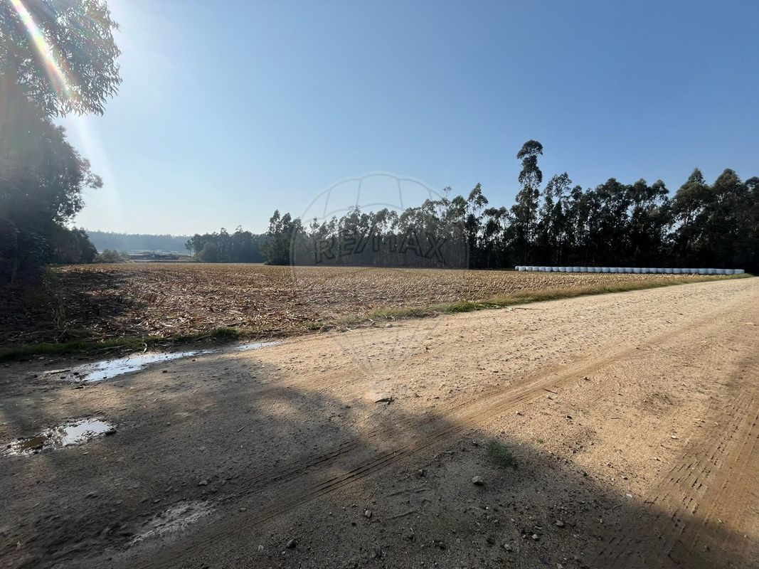 Terreno para venda