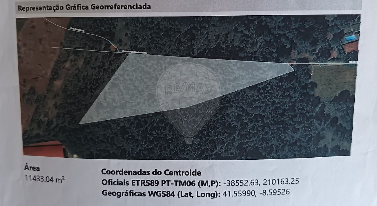 126281061-4