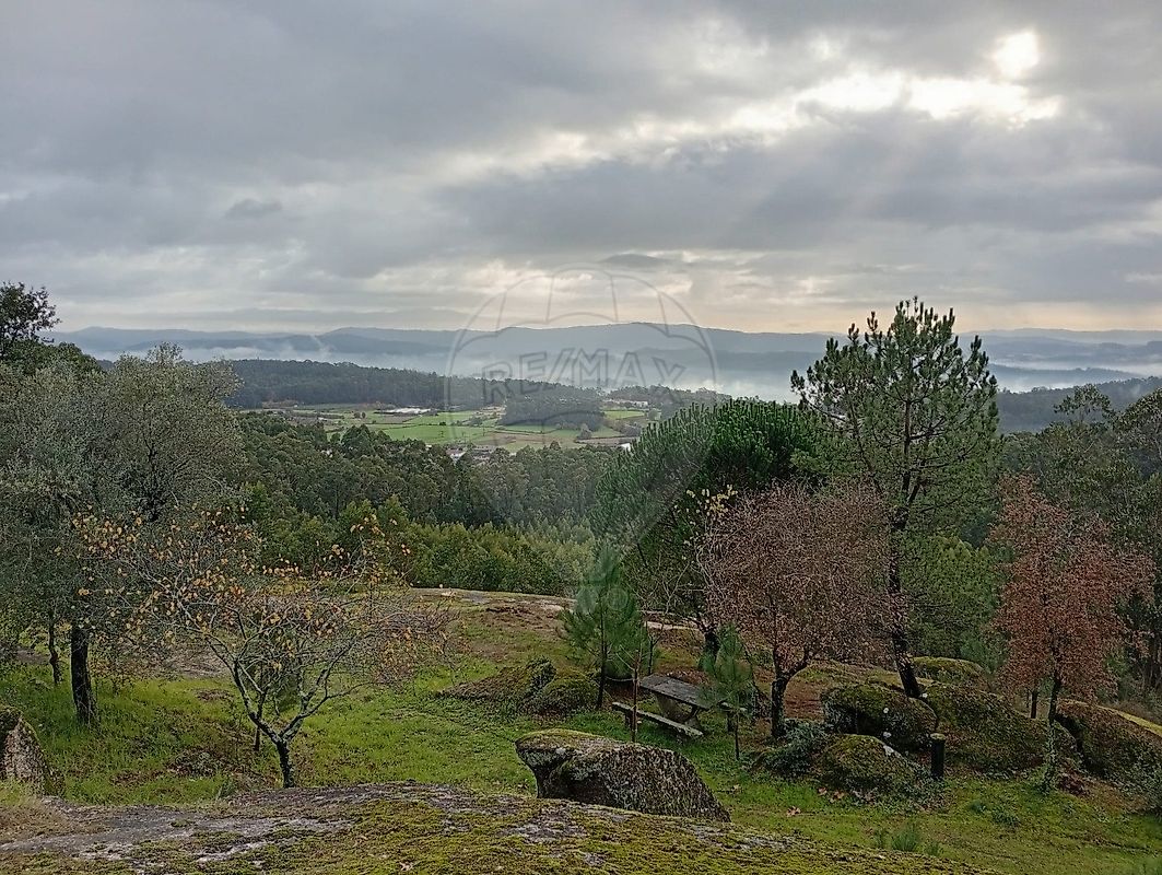 Terreno - Sequeade e Bastuço (São João e Santo Estevão), Barcelos, Braga