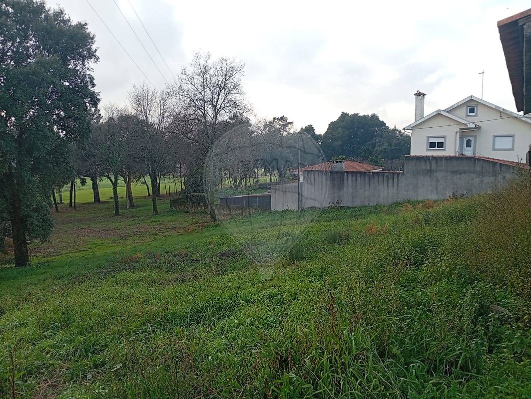 Terreno - Adães, Barcelos, Braga