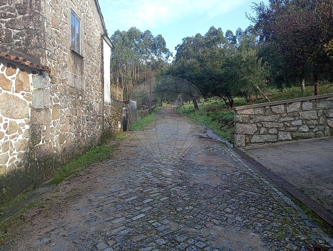 Terreno - Campo e Tamel (São Pedro Fins), Barcelos, Braga