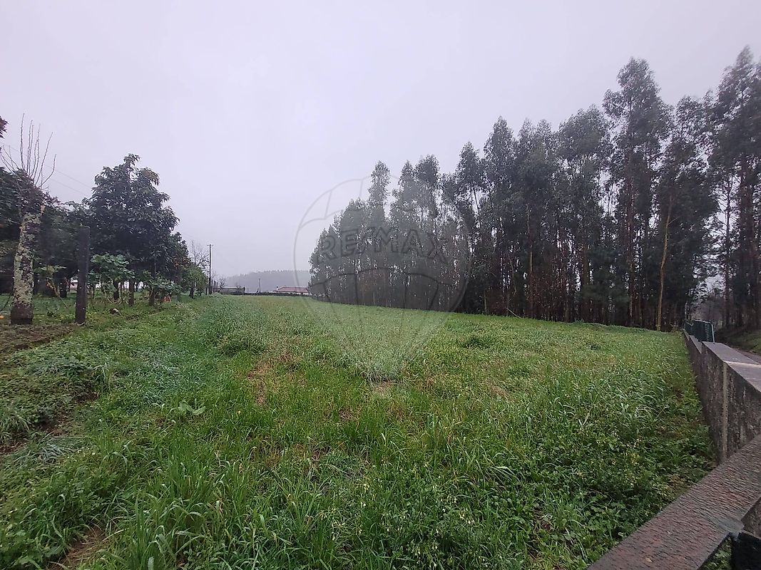 Moradia T3 à venda em Calvelo, Ponte de Lima — foto 27