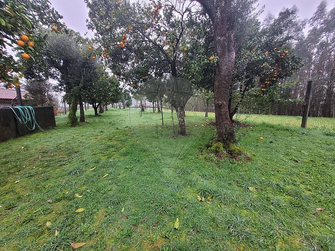 Moradia T3 à venda em Calvelo, Ponte de Lima — foto 26