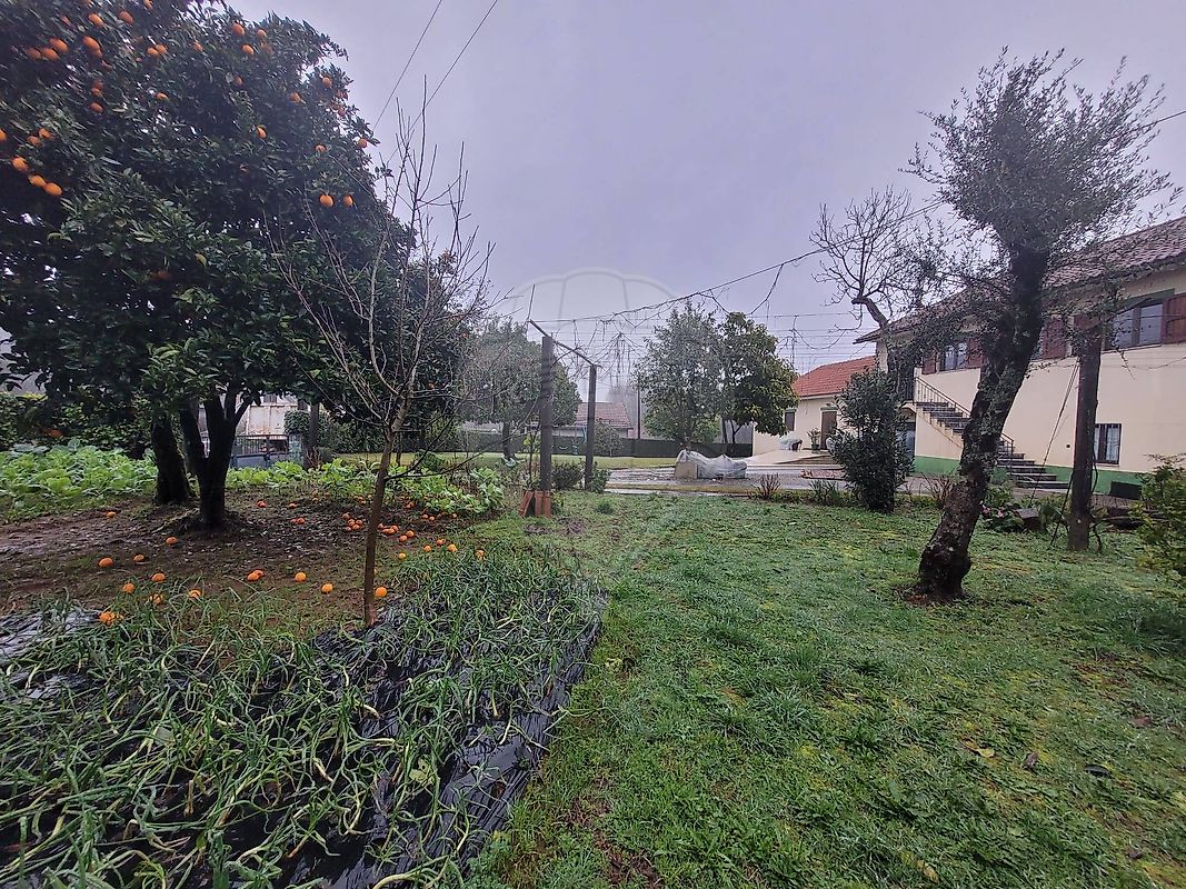 Moradia T3 à venda em Calvelo, Ponte de Lima — foto 23