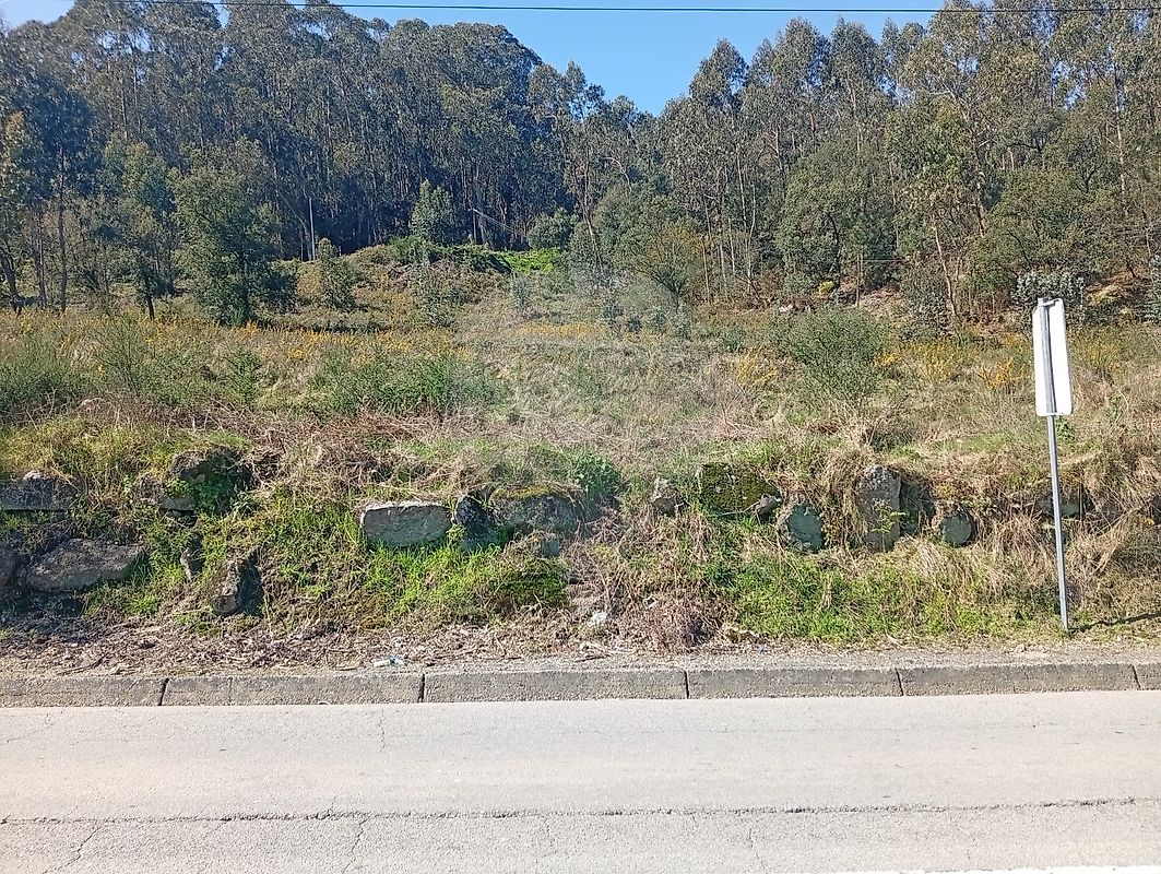 Terreno - Pereira, Barcelos, Braga