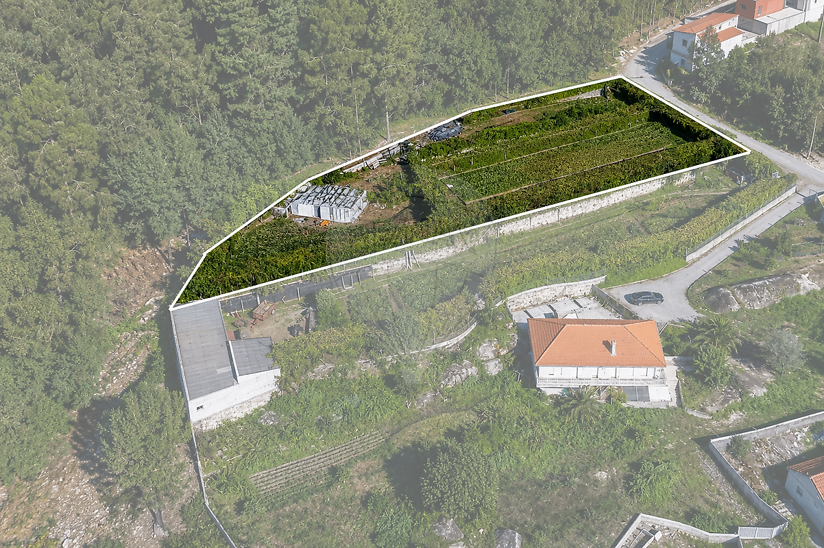 Terreno - Sequeade e Bastuço (São João e Santo Estevão), Barcelos, Braga
