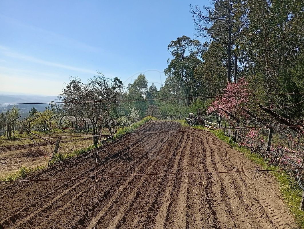 Terreno à venda em Barcelos