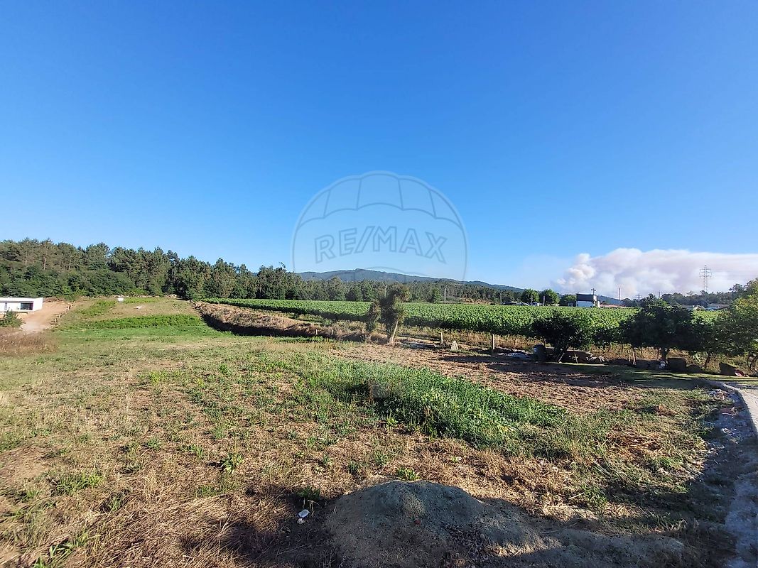 Terreno - Areias, Barcelos, Braga