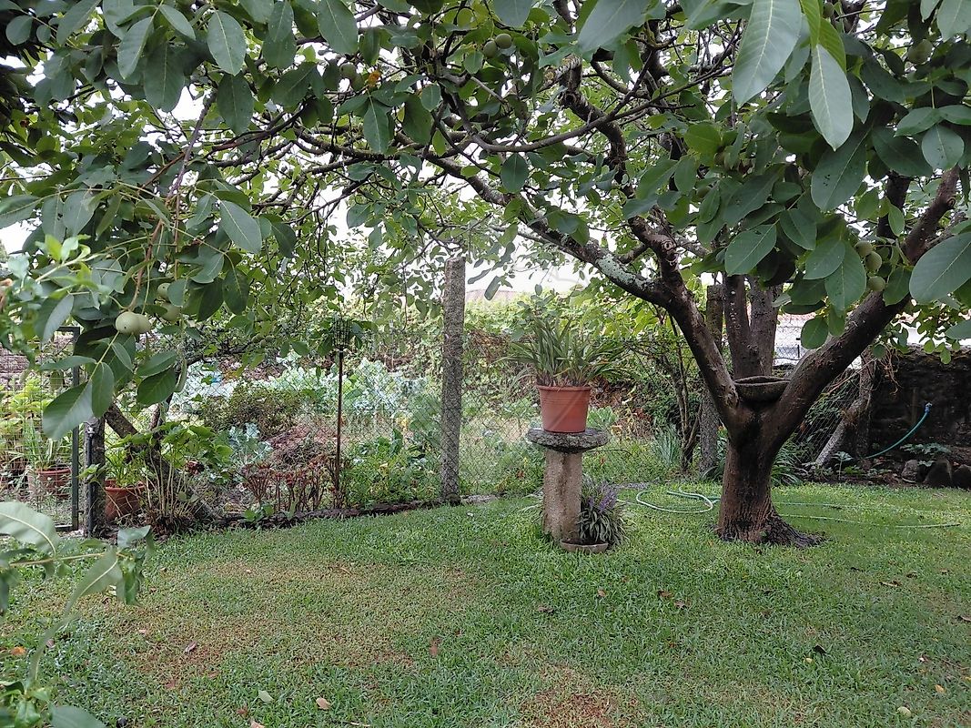 Moradia T4 à venda em Vila Cova e Feitos, Barcelos — foto 7