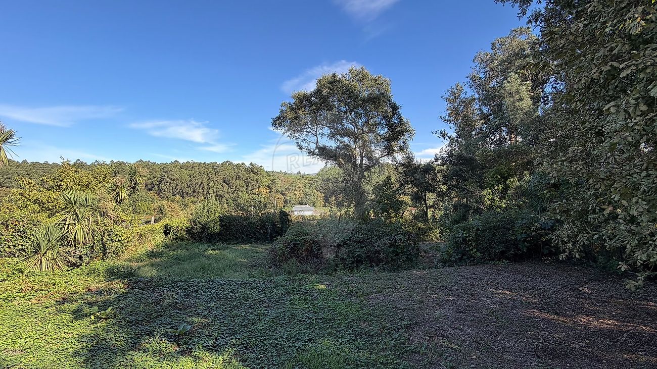 Terreno - Galegos (São Martinho), Barcelos, Braga