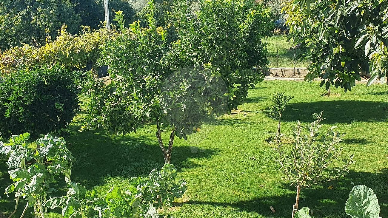 Moradia T4 à venda em Fornelos e Queijada, Ponte de Lima — foto 20