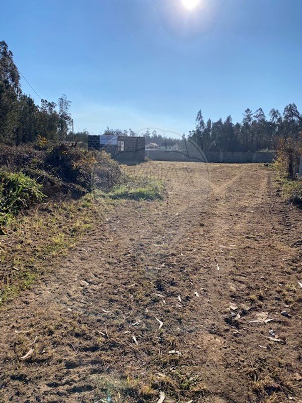 Terreno  para venda