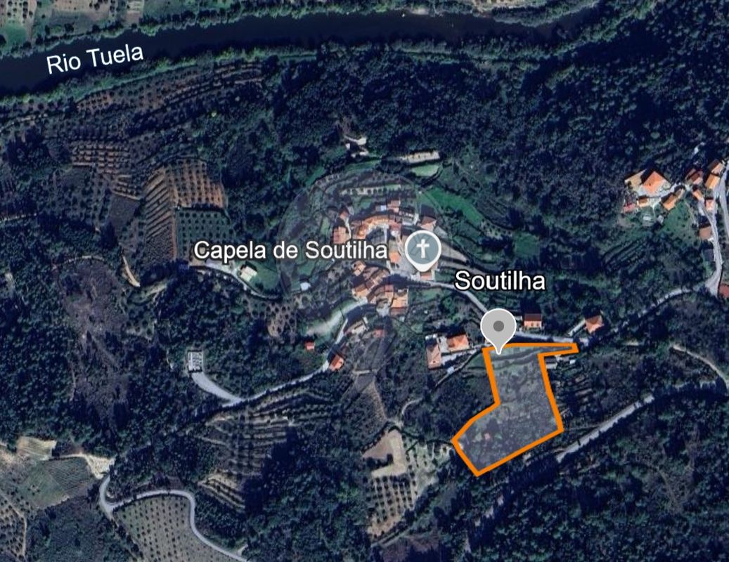 TODO