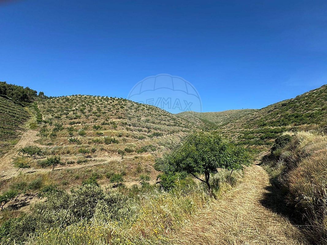 Terreno para venda
