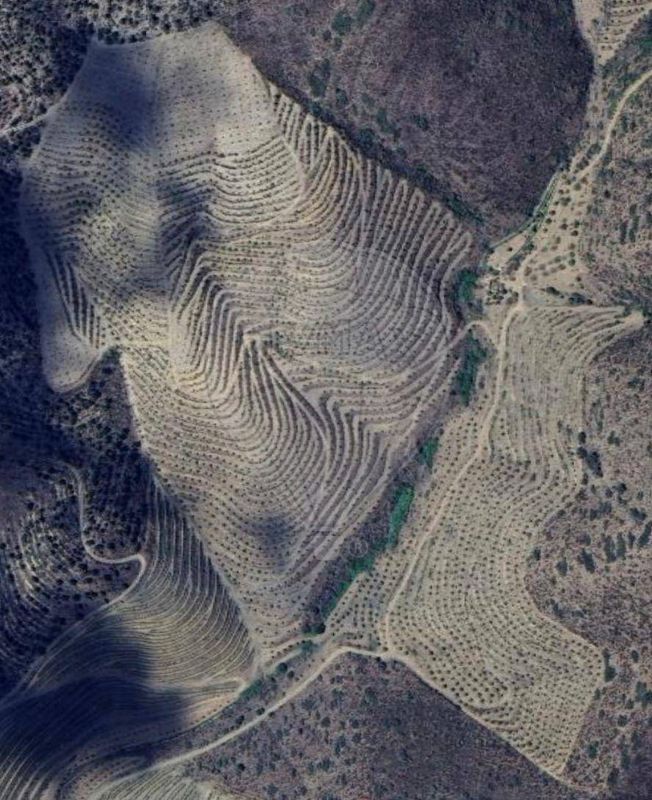 Terreno  para venda