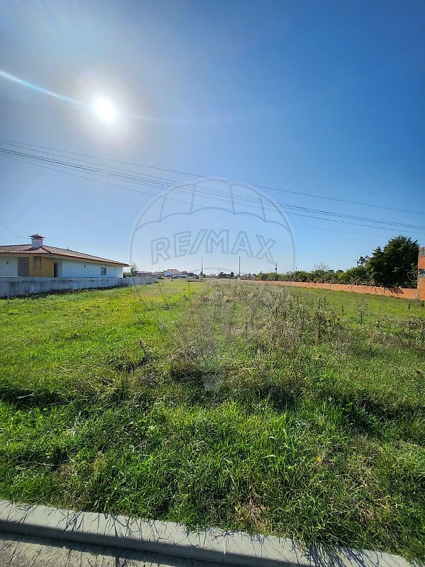 Terreno - Ponte de Vagos e Santa Catarina, Vagos, Aveiro