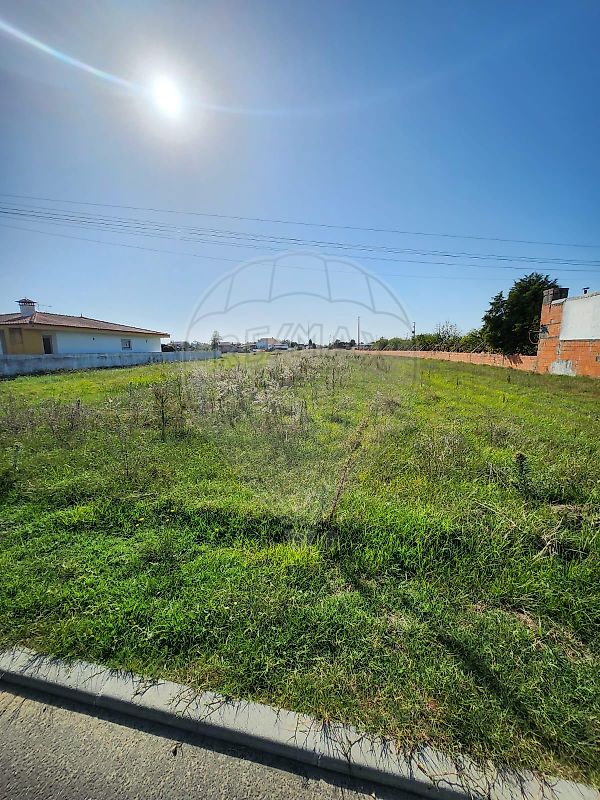 Terreno à venda em Vagos