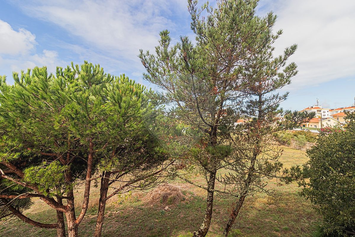 Apartamento T3 à venda em Sintra (Santa Maria e São Miguel, São Martinho e São Pedro de Penaferrim), Sintra — foto 31