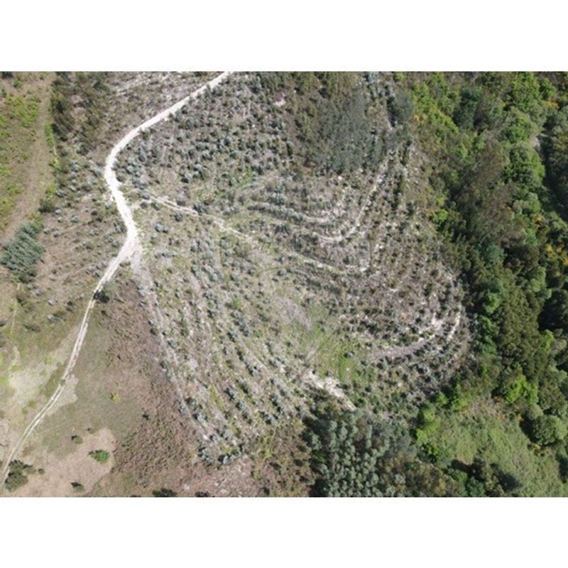 Terreno para venda