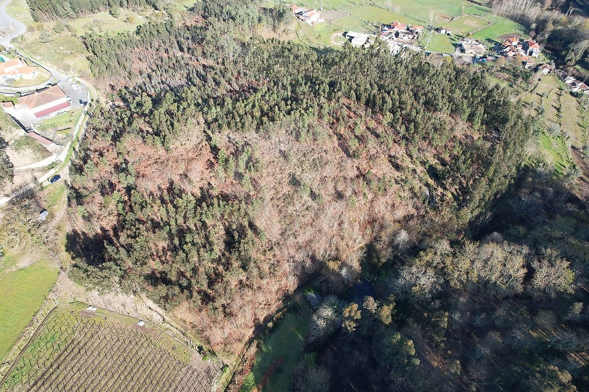 Terreno à venda em Fafe